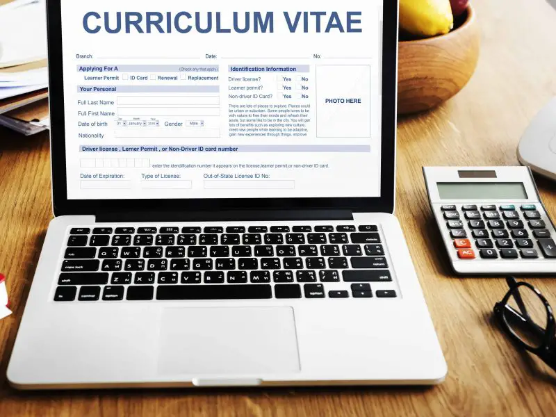 Curriculum Vitae Word Para Download