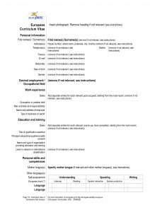 Modelo de CV Europass em Português